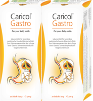 CARICOL Gastro Beutel Doppelpackung
