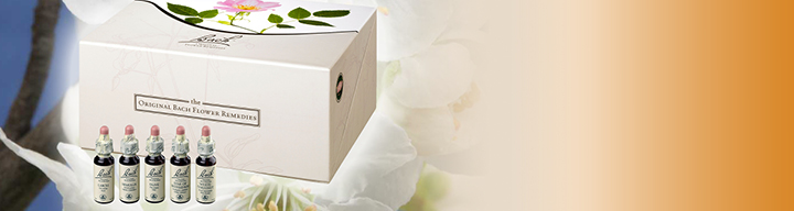 meine_apotheke_im_globus_wachau_naturheilkunde_bachblüten.jpg